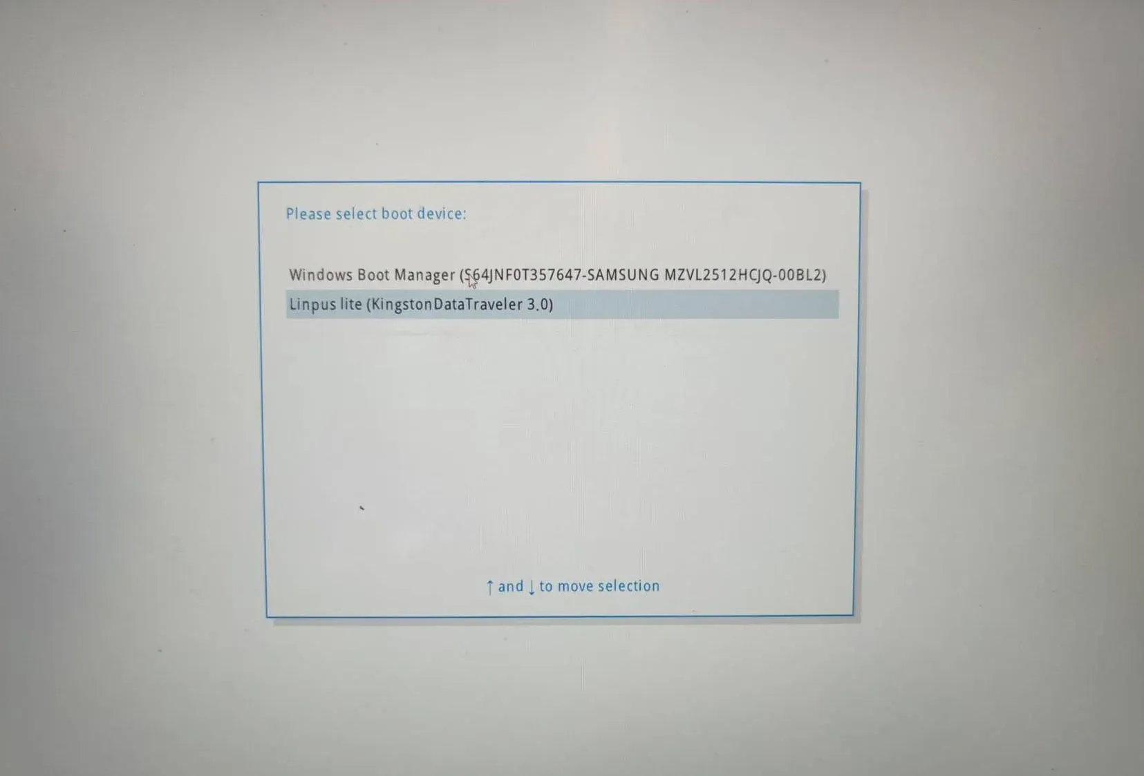 Boot Device选择